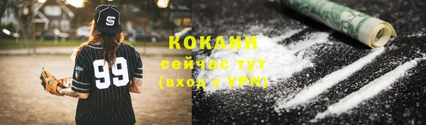 стаф Белокуриха