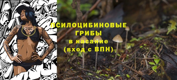 стаф Белокуриха